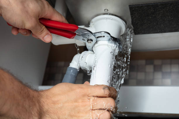 Best Professional water damage repair  in Maybrook, NY