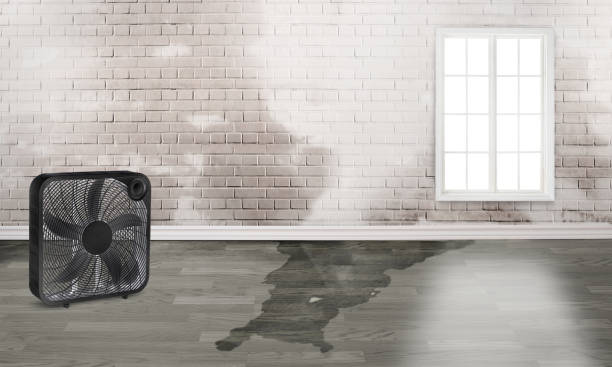 Best Sewage cleanup and water damage restoration  in Maybrook, NY