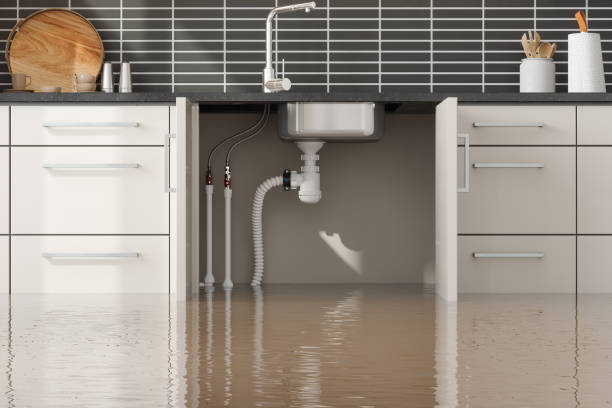 Best Basement water damage restoration  in Maybrook, NY