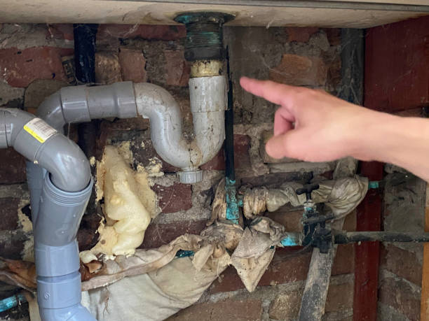 Best Water damage mitigation services  in Maybrook, NY
