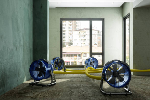 Best Flood restoration services  in Maybrook, NY