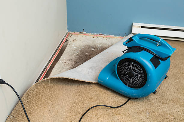 Best Water damage restoration insurance claims  in Maybrook, NY